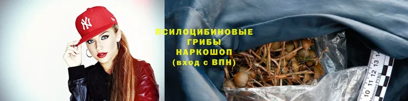 Галлюциногенные грибы Psilocybe Вышний Волочёк